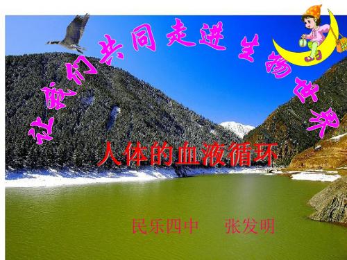 血液循环复习公开课