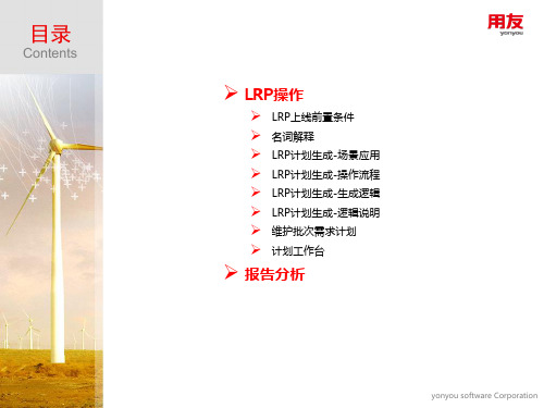 lrp实施培训2