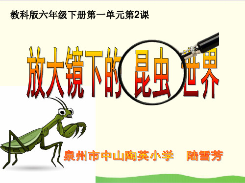 冀教版科学PPT《放大镜》课件详解1