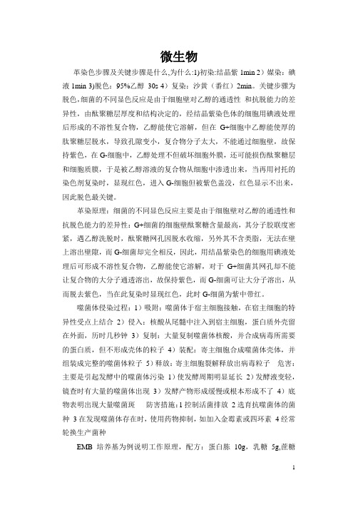 微生物