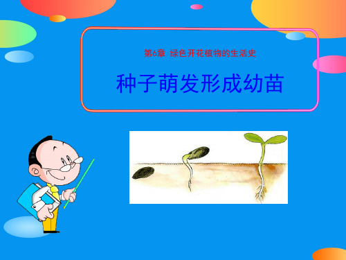 《种子萌发形成幼苗》PPT课件【精品推荐课件】
