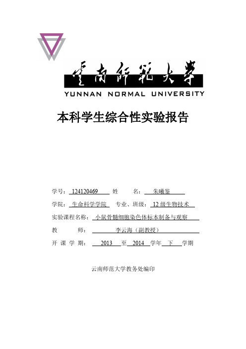 小鼠骨髓细胞染色体标本制备与观察与微核的检验