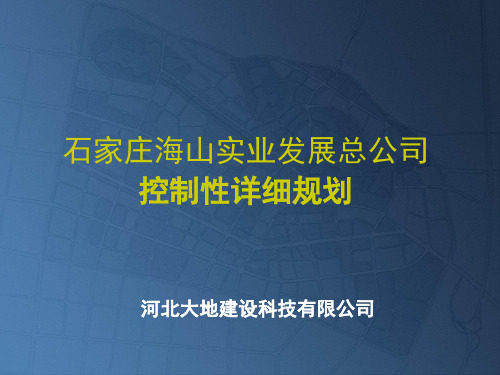 某片区控规汇报