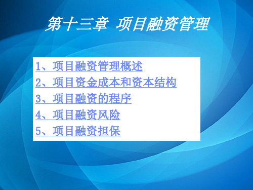 项目管理实务PPT  第十三章  项目融资管理