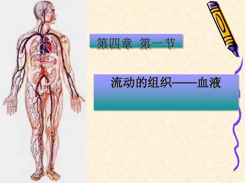 流动的组织——血液PPT课件45 人教版