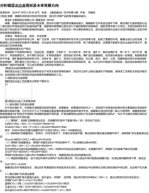 分析铜湿法冶金现状及未来发展方向