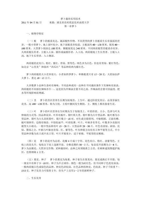萝卜栽培实用技术