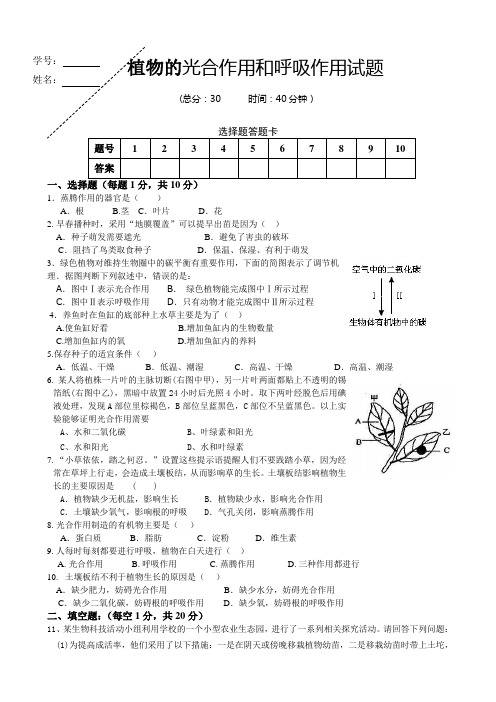 七年级生物植物的光合作用和呼吸作用试题