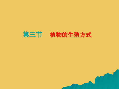 北师大版生物八上19.3《植物的生殖方式》实用课件(共35张PPT)