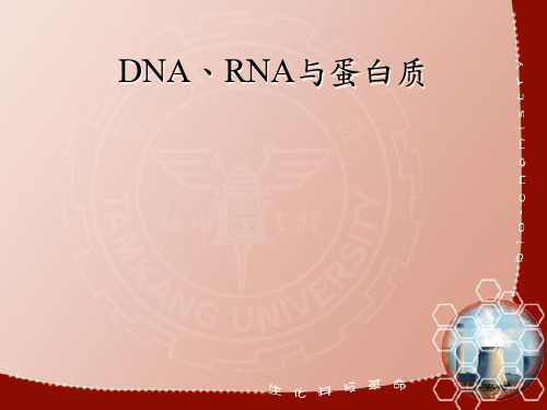 DNA、RNA与蛋白质