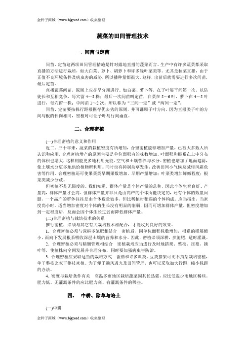 蔬菜栽培的田间管理技术(蔬菜种子类)