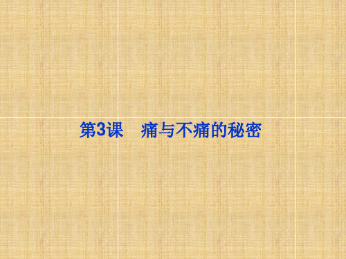 痛与不痛的秘密学习课件PPT