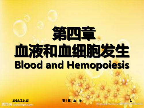 组织学与胚胎学课件 血液