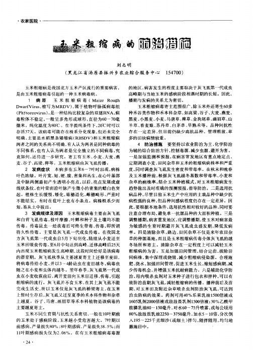 玉米粗缩病的防治措施