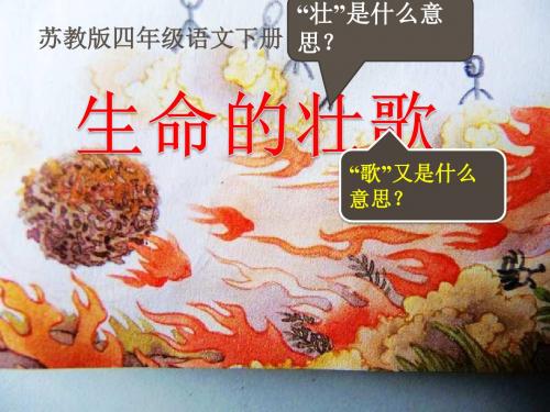 苏教版四年级语文下册《生命的壮歌》课件