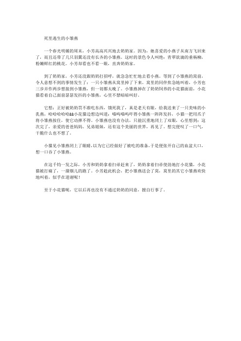 死里逃生的小雏燕