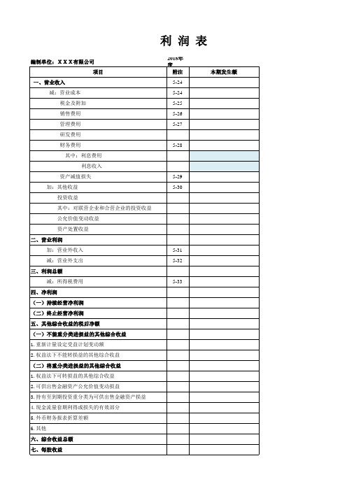 2019财务报表格式模板