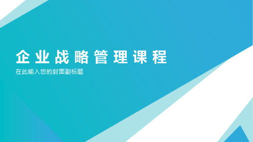 企 业 战 略 管 理 课 程：第八章 战略分析与选择