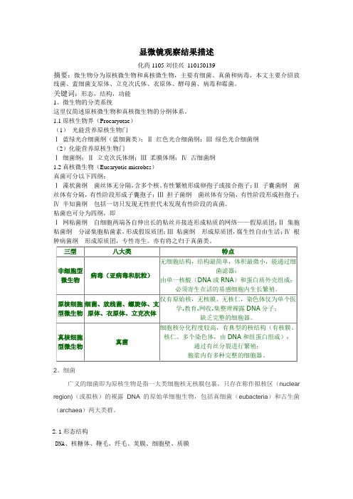 各种微生物的形态结构及功能