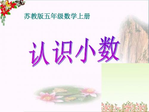 苏教版数学五年级上册《认识小数》优质课ppt课件