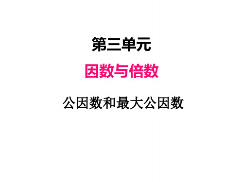 苏教版五年级下册数学课件 公因数和最大公因数