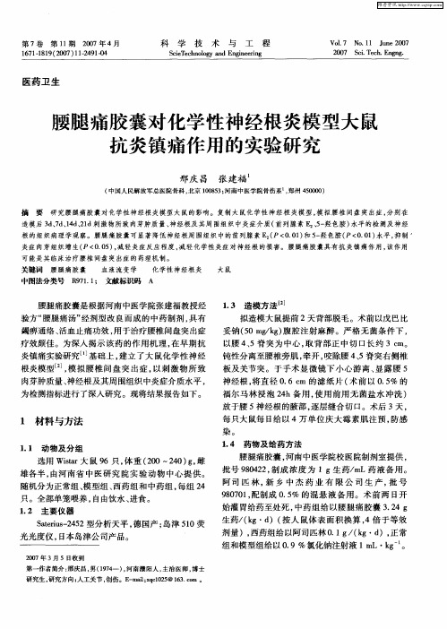 腰腿痛胶囊对化学性神经根炎模型大鼠抗炎镇痛作用的实验研究