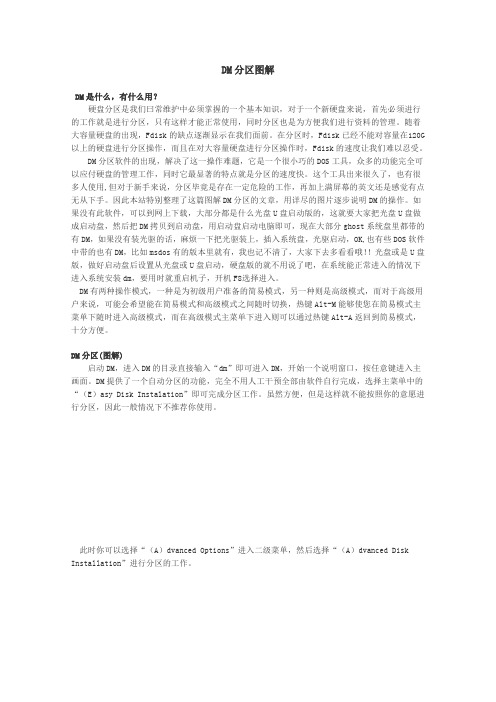DM分区图解(低格)