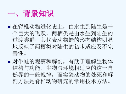 实验2青蛙的外形与内部解剖