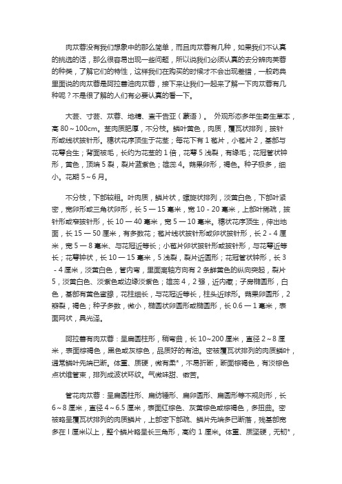 肉苁蓉有哪几种呢 有什么食用方法