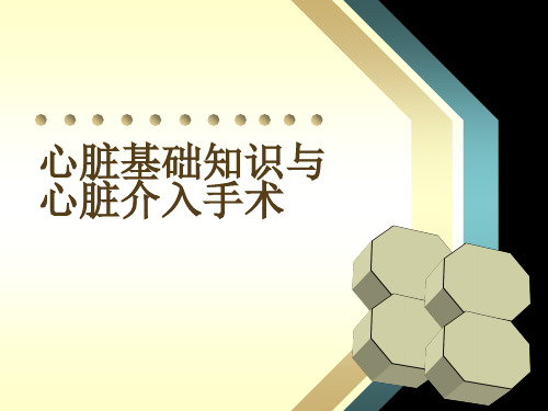 心脏基础知识精品PPT课件