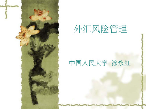 外汇风险管理(人大,涂永红)