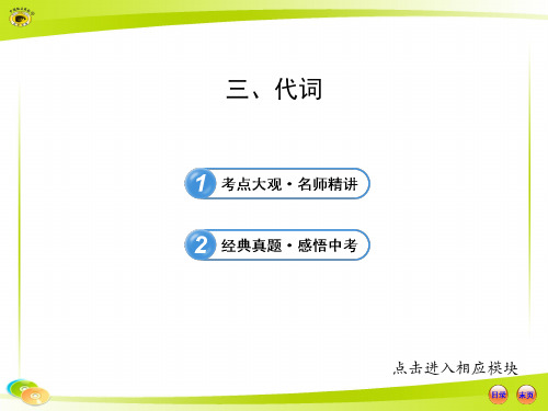 代词用法  三