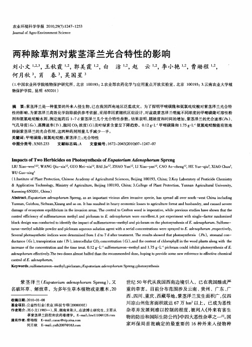 两种除草剂对紫茎泽兰光合特性的影响