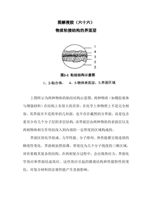 图解浸胶(66)物质粘结结构的界面层