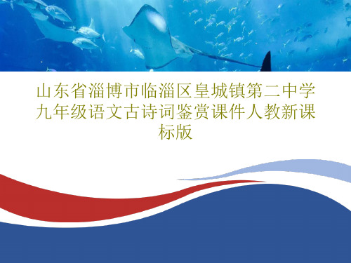 山东省淄博市临淄区皇城镇第二中学九年级语文古诗词鉴赏课件人教新课标版共56页文档