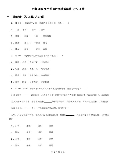 西藏2020年小升初语文模拟试卷(一)B卷精编