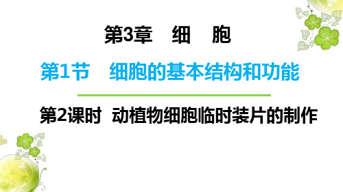 北师大版七年级上册2.3.1.2 动植物细胞的基本结构课件
