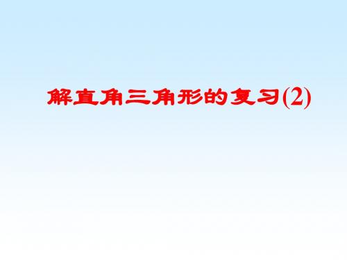 解直角三角形复习 PPT课件 2 浙教版