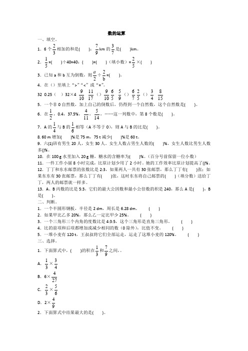 人教版小学数学六年级下册《数运算》试题及答案