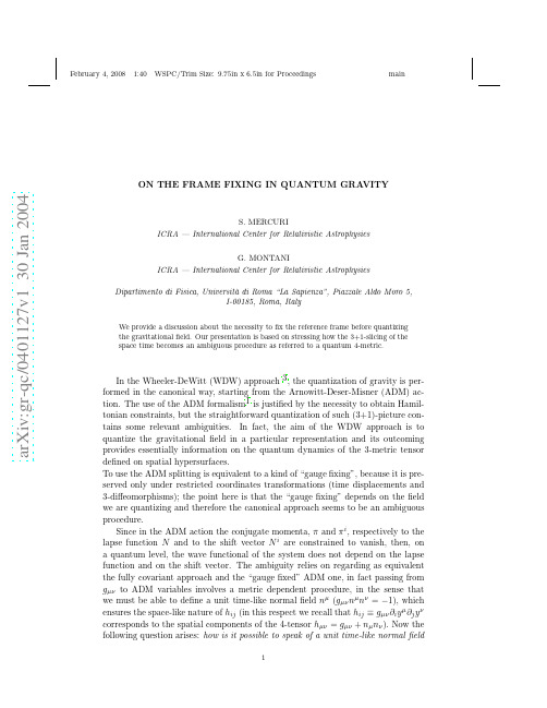 On the Frame Fixing in Quantum Gravity