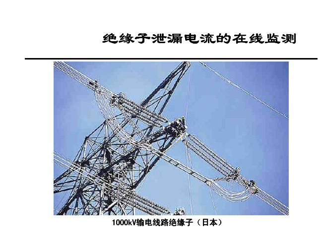 第12章 绝缘子泄漏电流监测