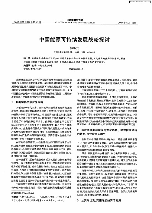 中国能源可持续发展战略探讨