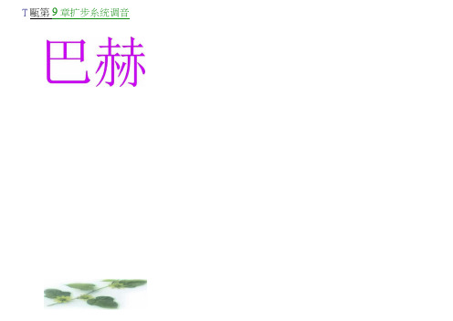 沪教高一语文(下)《小溪巴赫》课件(38张PPT)
