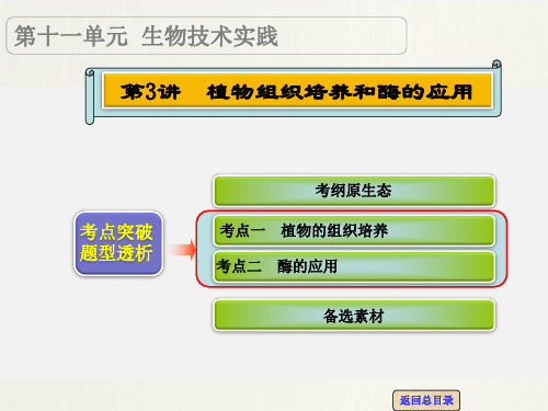 高考生物 一轮复习 第3讲 植物组织培养和酶的应用