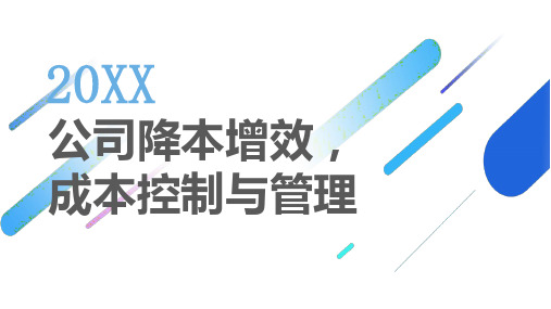 公司降本增效成本控制与管理