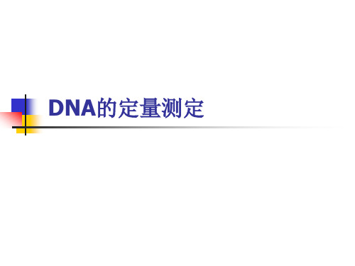 DNA的定量测定