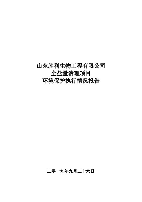 山东胜利生物工程有限公司全盐量治理项目执行报告