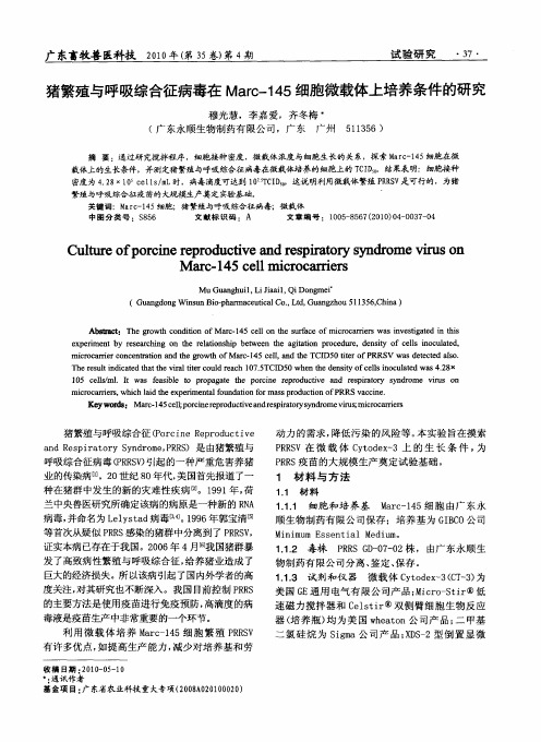 猪繁殖与呼吸综合征病毒在Marc-145细胞微载体上培养条件的研究
