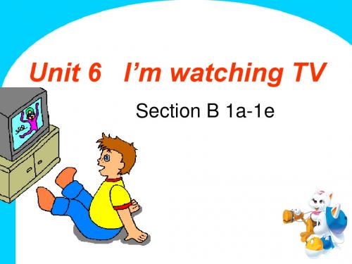 2013版七年级英语Unit6_I’m watching TVSectionB-1
