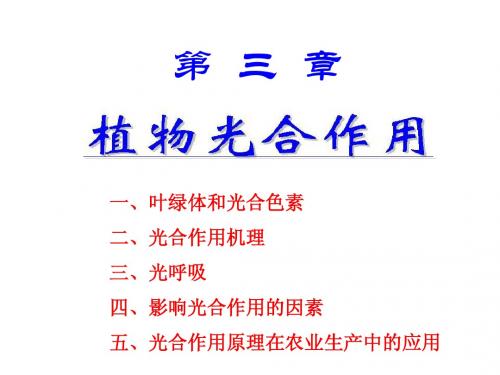 植物的光合作用
